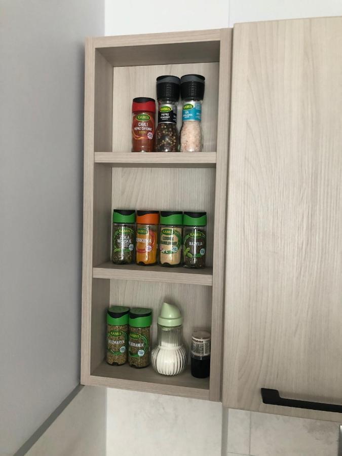 Appartement Apartament Na Wierzbowej Parter à Kędzierzyn-Koźle Extérieur photo